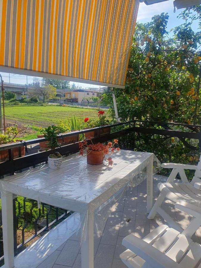 Ospitalita Il Noce Bed & Breakfast Brusciano Exterior photo