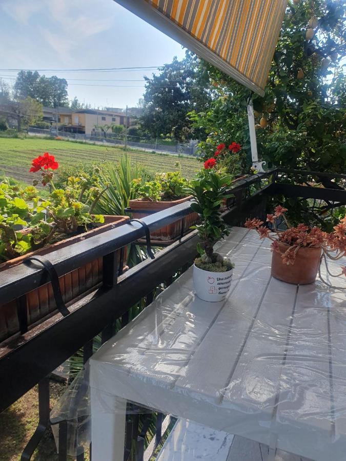 Ospitalita Il Noce Bed & Breakfast Brusciano Exterior photo